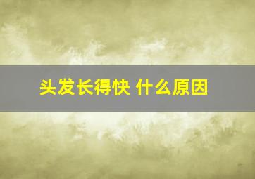 头发长得快 什么原因